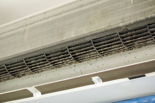 Best Affordable Duct Cleaning Services  in Cambridge, OH